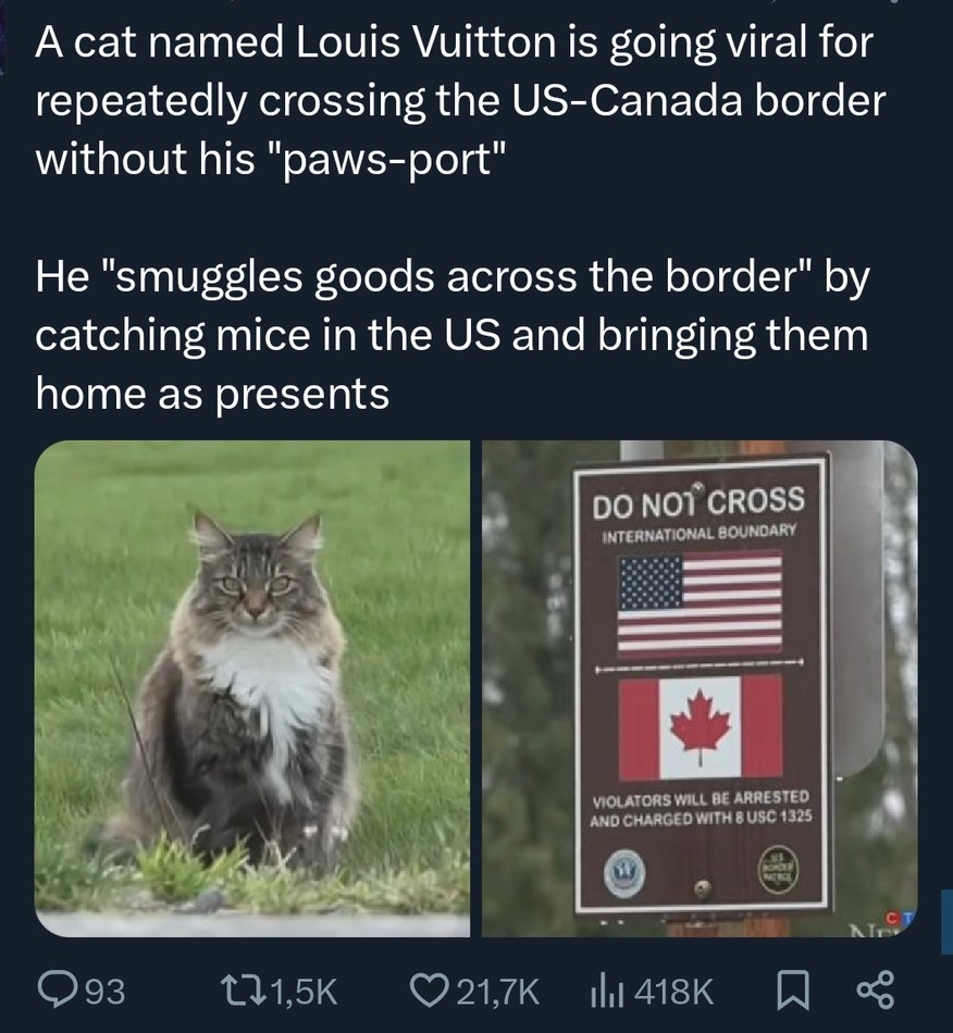 A cat named Louis Vuitton is going viral for repeatedly crossing the US-Canada border without his 