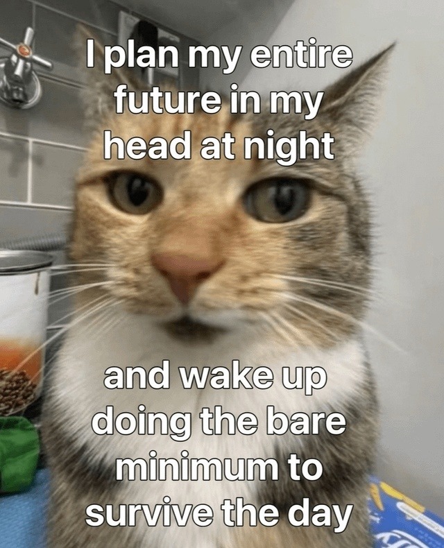 I plan my entire future in my head at night and wake up doing the bare minimum to survive the day