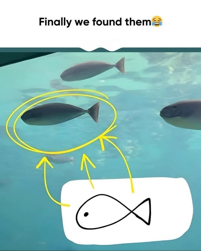 Finally we found them 😂