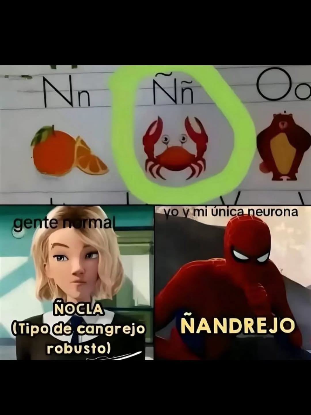 Nn Ññ Oo gente normal yo y mi única neurona ÑOCLA (Tipo de cangrejo robusto) ÑANDREJO