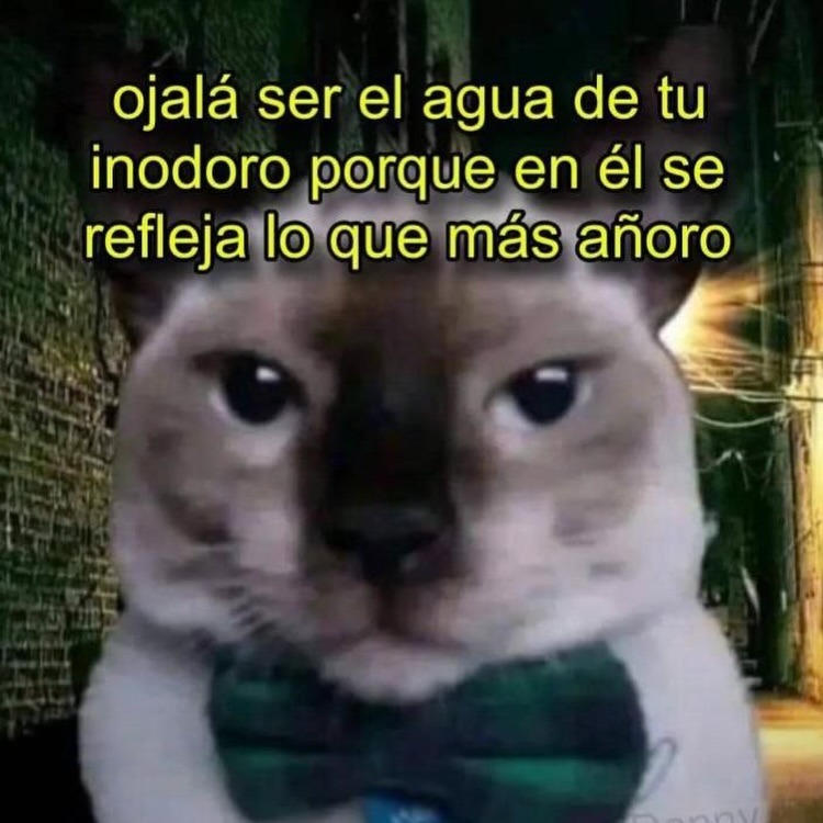 ojalá ser el agua de tu inodoro porque en él se refleja lo que más añoro