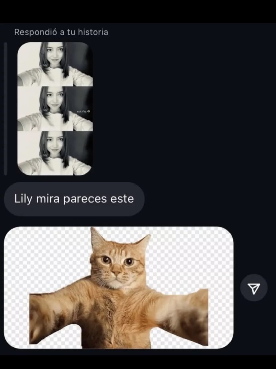 Respondió a tu historia. Lily mira pareces este. Una chica se toma tres selfies en blanco y negro. Un gato naranja se toma una selfie con los brazos extendidos.