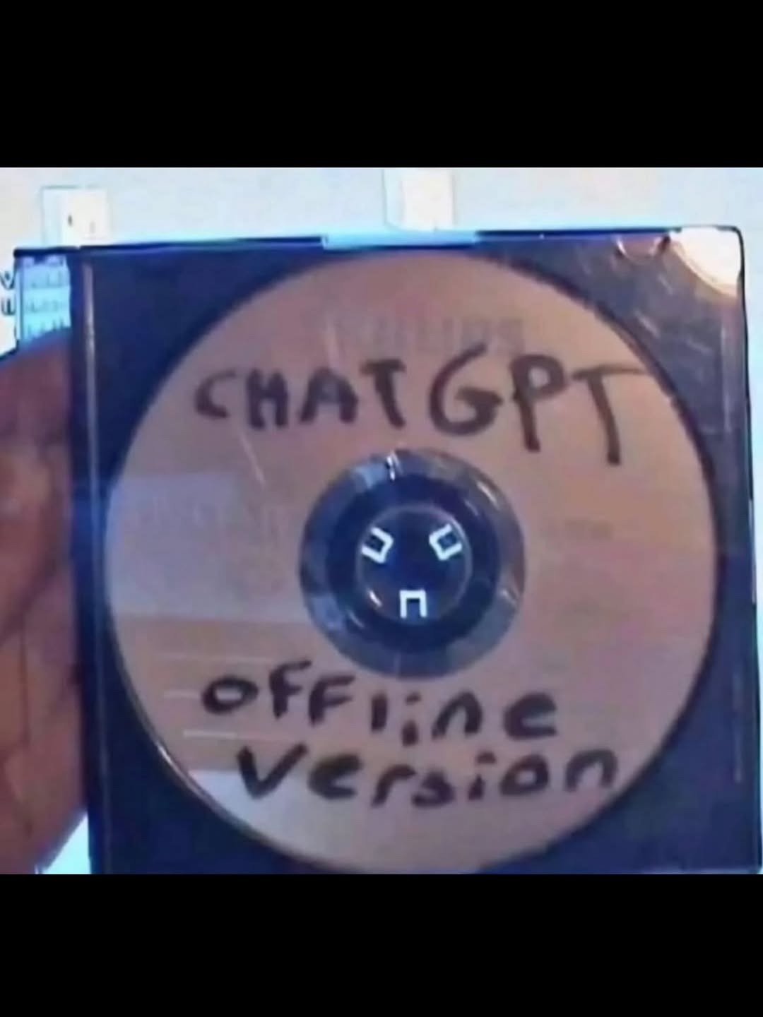 CHAT GPT offline Version