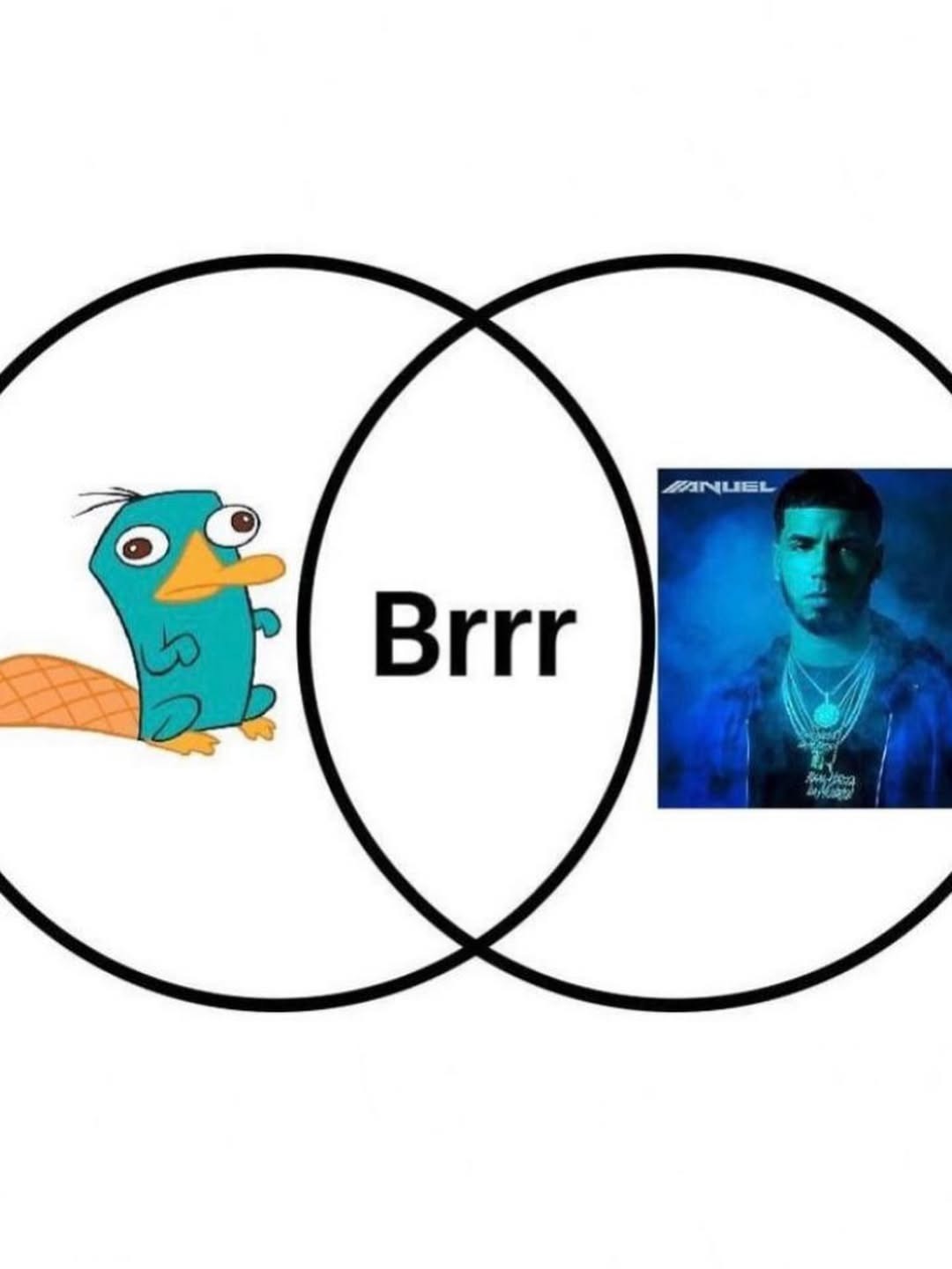 Perry el Ornitorrinco Brrr Anuel AA