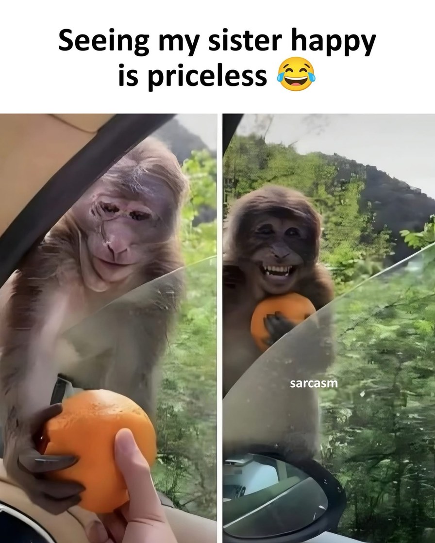 Seeing my sister happy is priceless. A person gives an orange to a monkey through a car window. The monkey initially looks sad, then smiles widely after receiving the fruit. The text 'sarcasm' indicates the humorous intent.