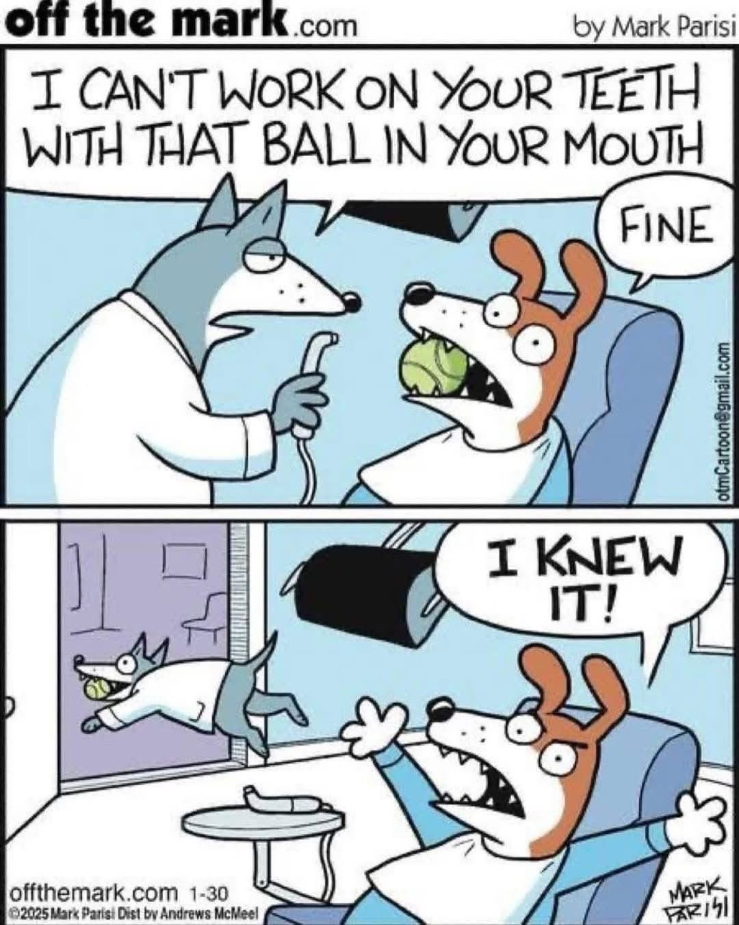 I CAN'T WORK ON YOUR TEETH WITH THAT BALL IN YOUR MOUTH FINE I KNEW IT!