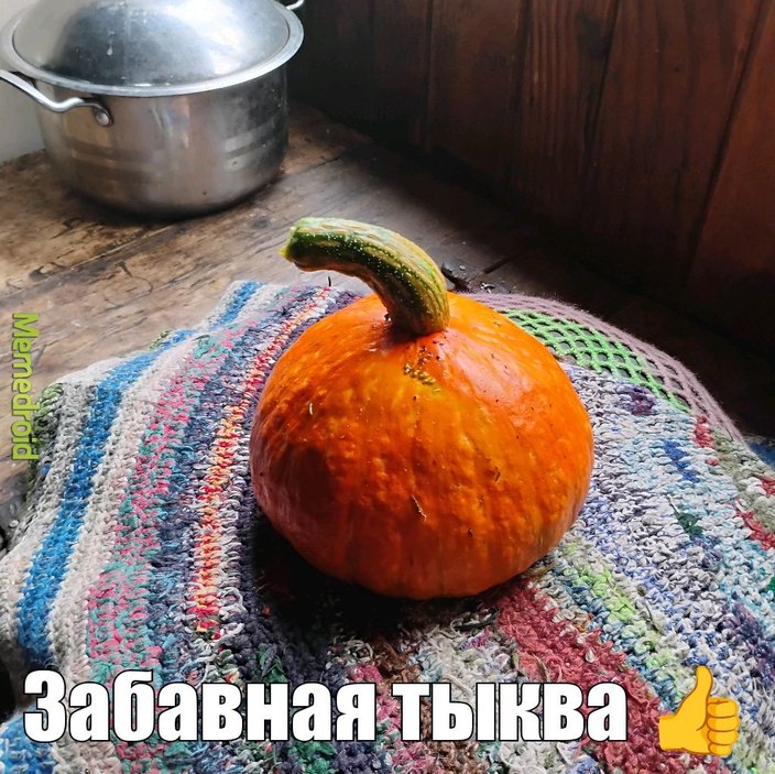 Calabaza divertida