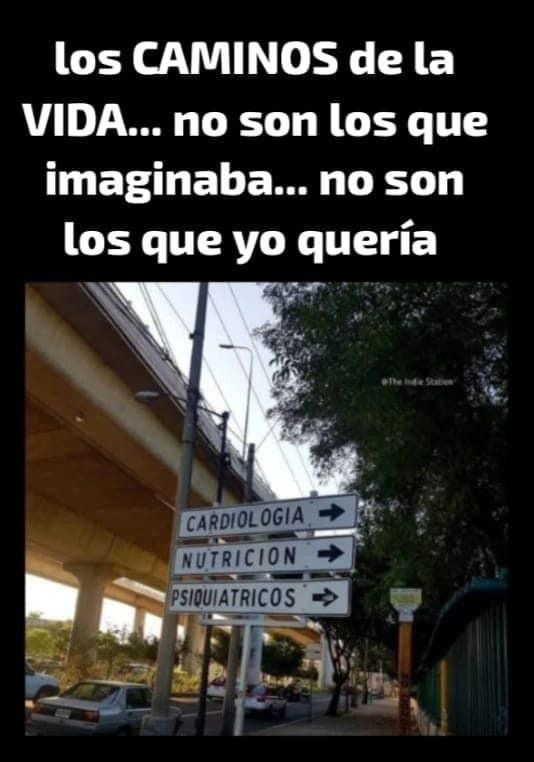 los CAMINOS de la VIDA... no son los que imaginaba... no son los que yo quería. CARDIOLOGIA. NUTRICION. PSIQUIATRICOS.