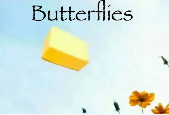 Butterflies