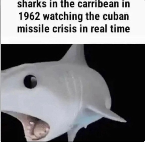 sharks in the caribbean in 1962 watching the cuban missile crisis in real time