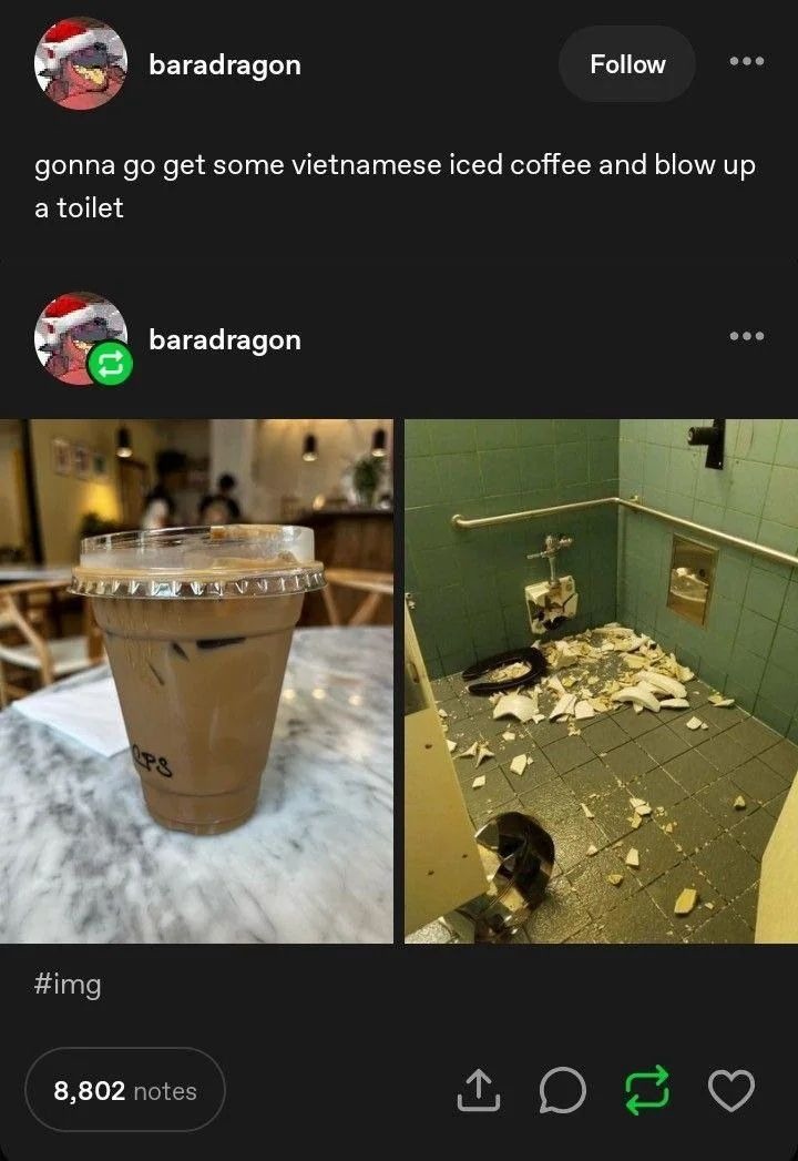 gonna go get some vietnamese iced coffee and blow up a toilet
