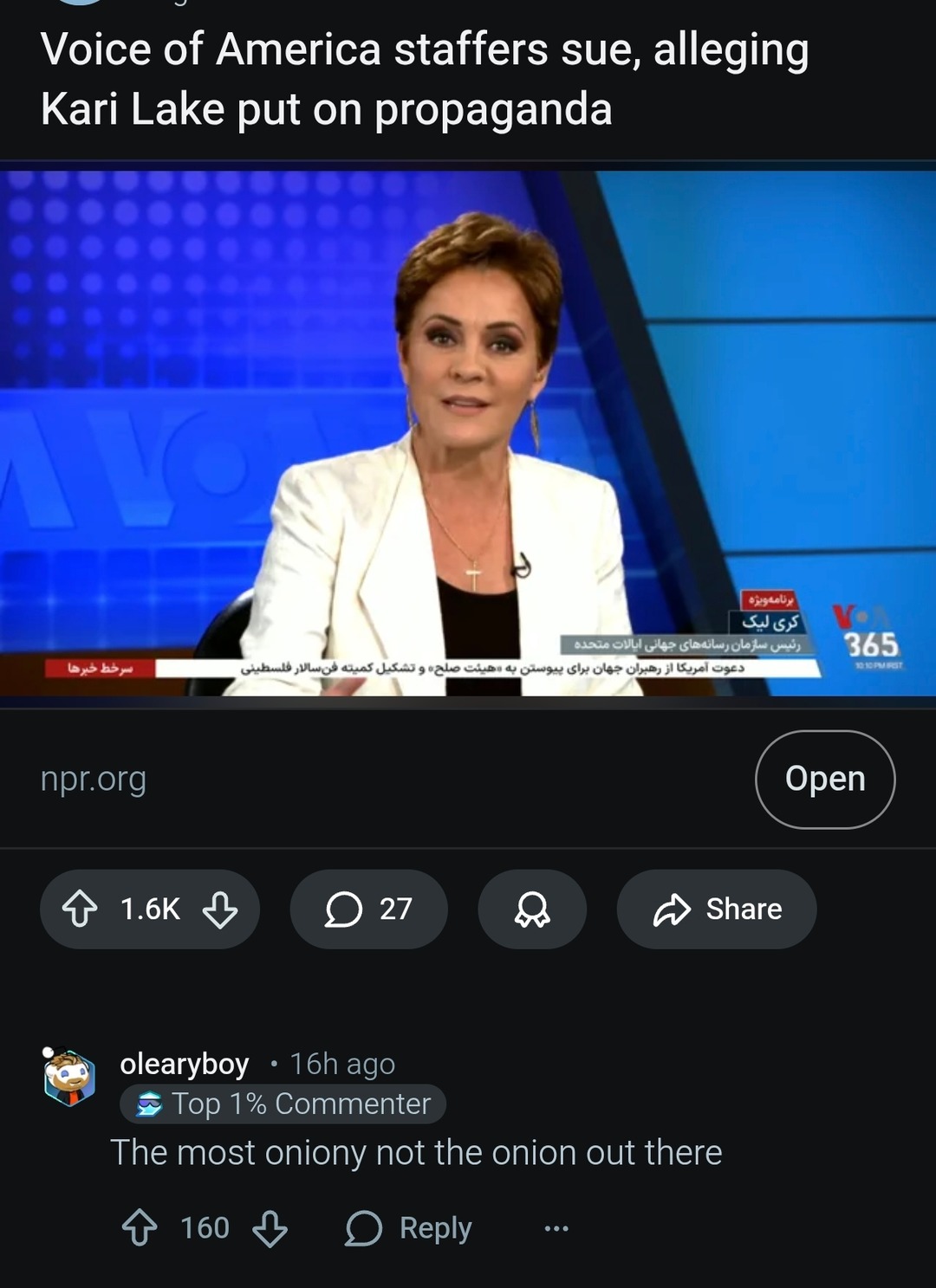 Voice of America staffers sue, alleging Kari Lake put on propaganda. A user comments, 'The most oniony not the onion out there'.