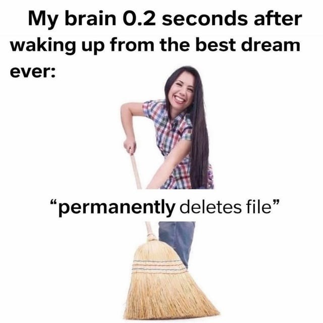 My brain 0.2 seconds after waking up from the best dream ever: 