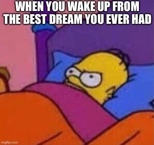 WHEN YOU WAKE UP FROM THE BEST DREAM YOU EVER HAD