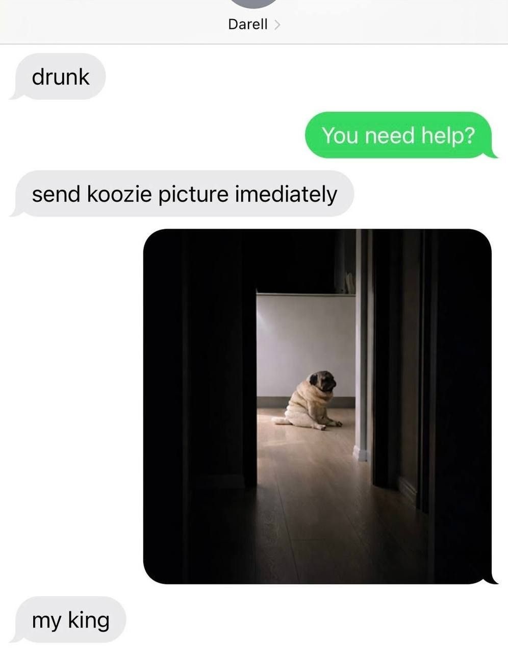drunk You need help? send koozie picture immediately my king