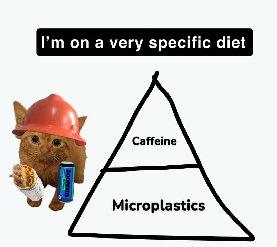 I'm on a very specific diet. Caffeine. Microplastics. ZOOMIES ENERGY.