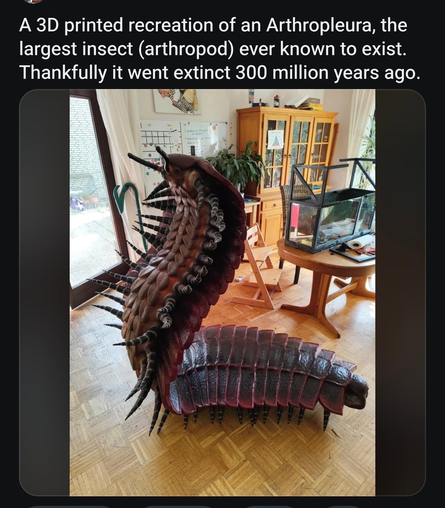 A 3D printed recreation of an Arthropleura, the largest insect (arthropod) ever known to exist. Thankfully it went extinct 300 million years ago.