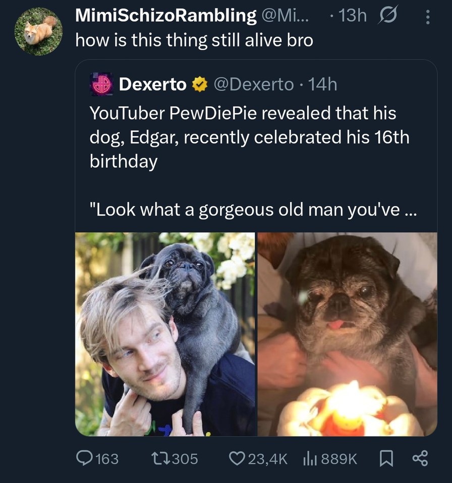 how is this thing still alive bro YouTuber PewDiePie revealed that his dog, Edgar, recently celebrated his 16th birthday Look what a gorgeous old man you've...