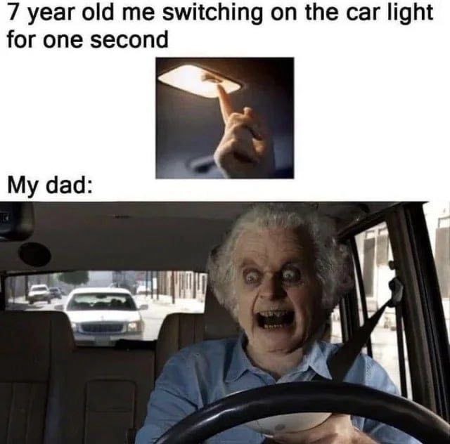 7 year old me switching on the car light for one second My dad: