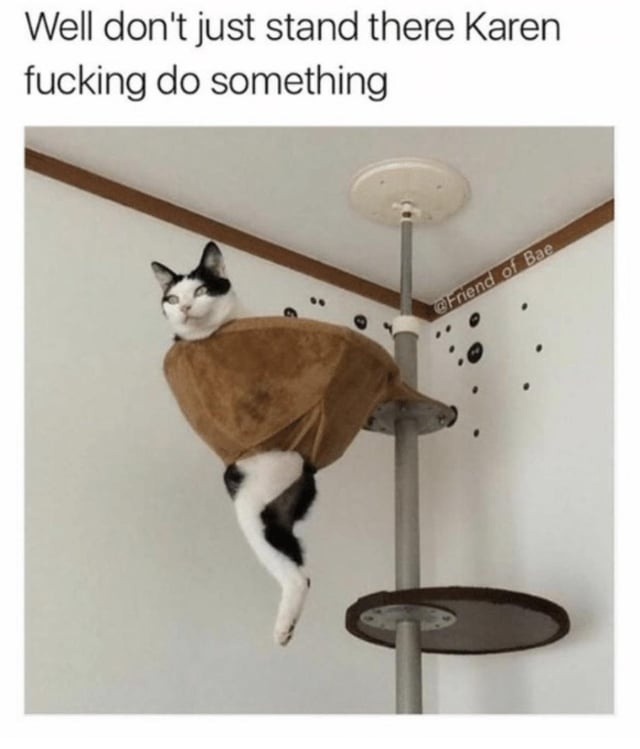 Well don't just stand there Karen fucking do something