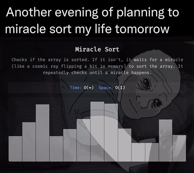 Another evening of planning to miracle sort my life tomorrow. Miracle Sort. Checks if the array is sorted. If it isn't, it waits for a miracle (like a cosmic ray flipping a bit in memory) to sort the array. It repeatedly checks until a miracle happens. Time: O(∞) Space: O(1).