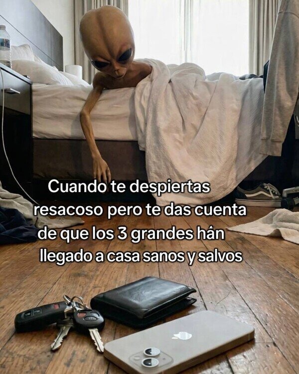 Cuando te despiertas resacoso pero te das cuenta de que los 3 grandes han llegado a casa sanos y salvos
