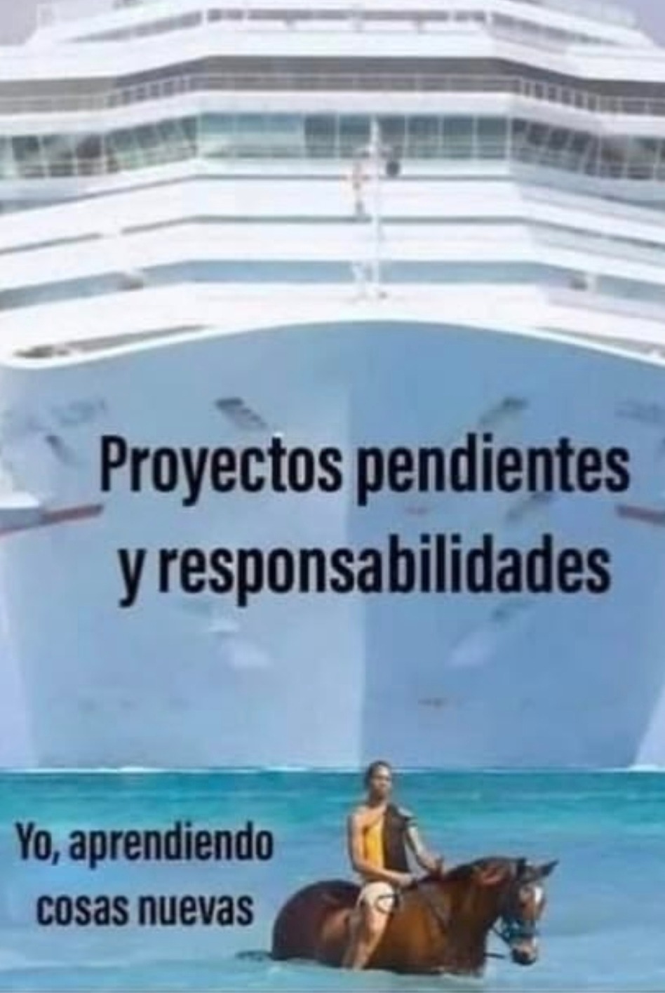 Proyectos pendientes y responsabilidades. Yo, aprendiendo cosas nuevas.