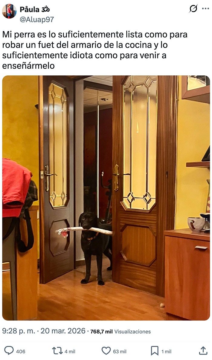Mi perra es lo suficientemente lista como para robar un fuet del armario de la cocina y lo suficientemente idiota como para venir a enseñármelo