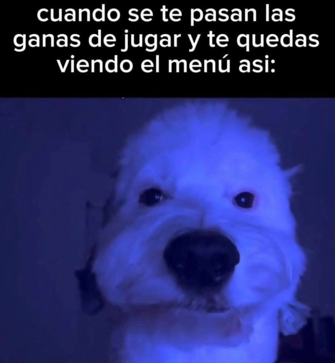 cuando se te pasan las ganas de jugar y te quedas viendo el menú así:
