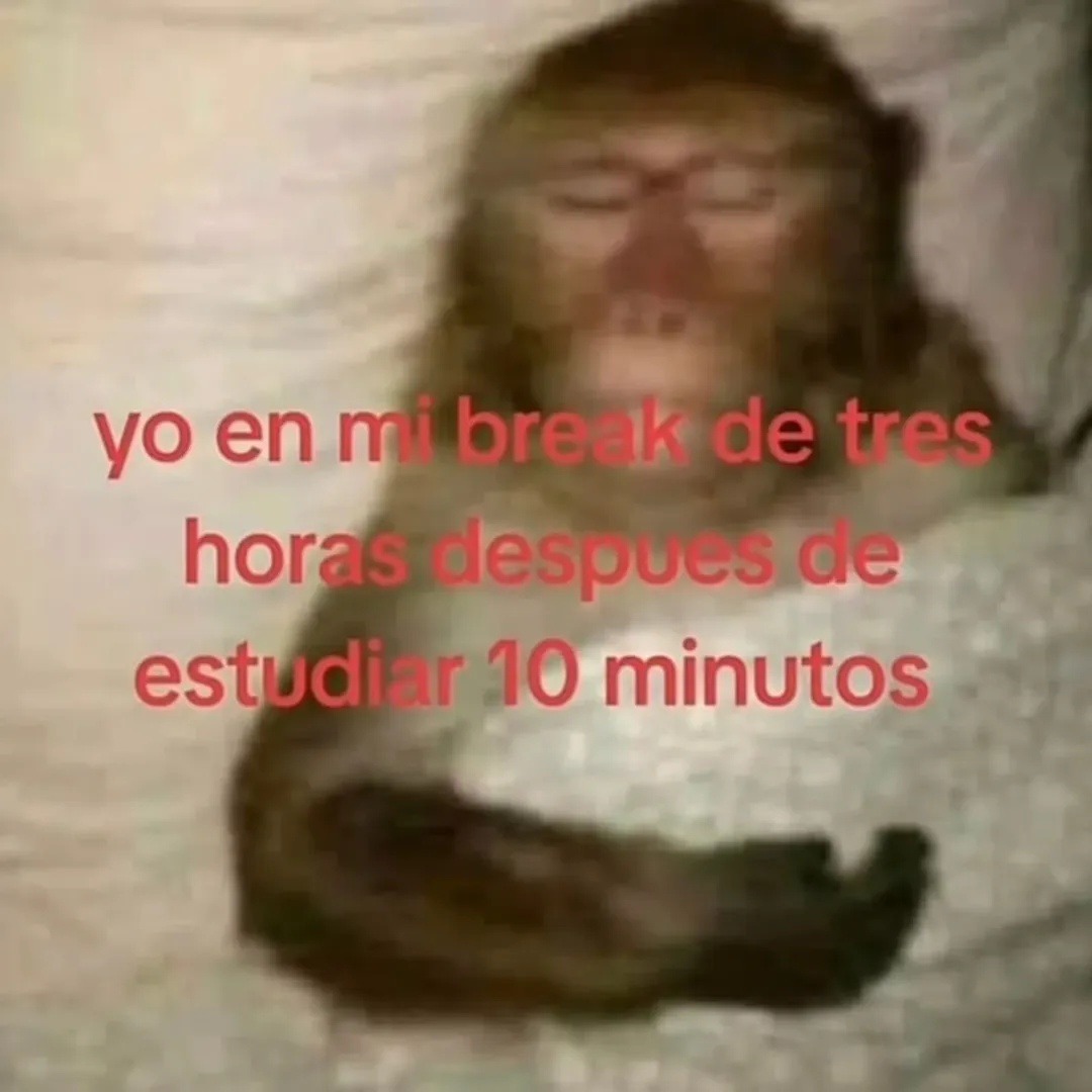 yo en mi break de tres horas despues de estudiar 10 minutos