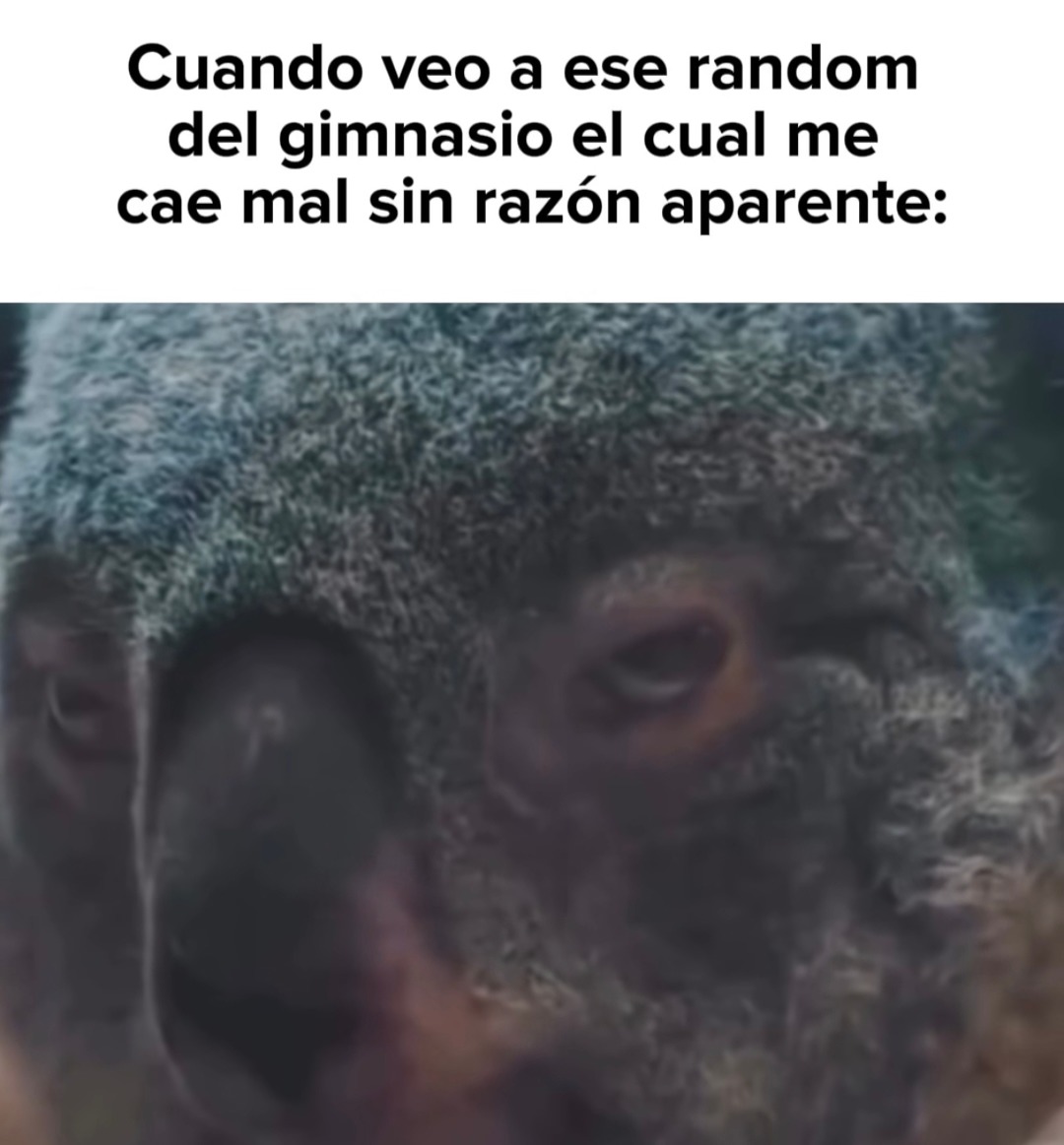 Cuando veo a ese random del gimnasio el cual me cae mal sin razón aparente: