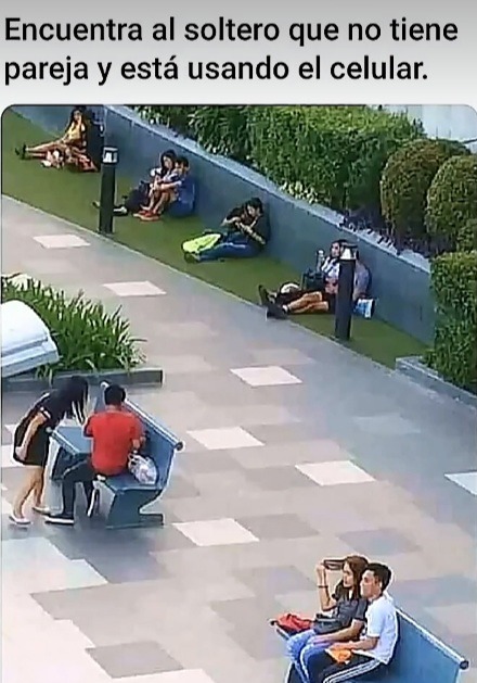 Encuentra al soltero que no tiene pareja y está usando el celular.