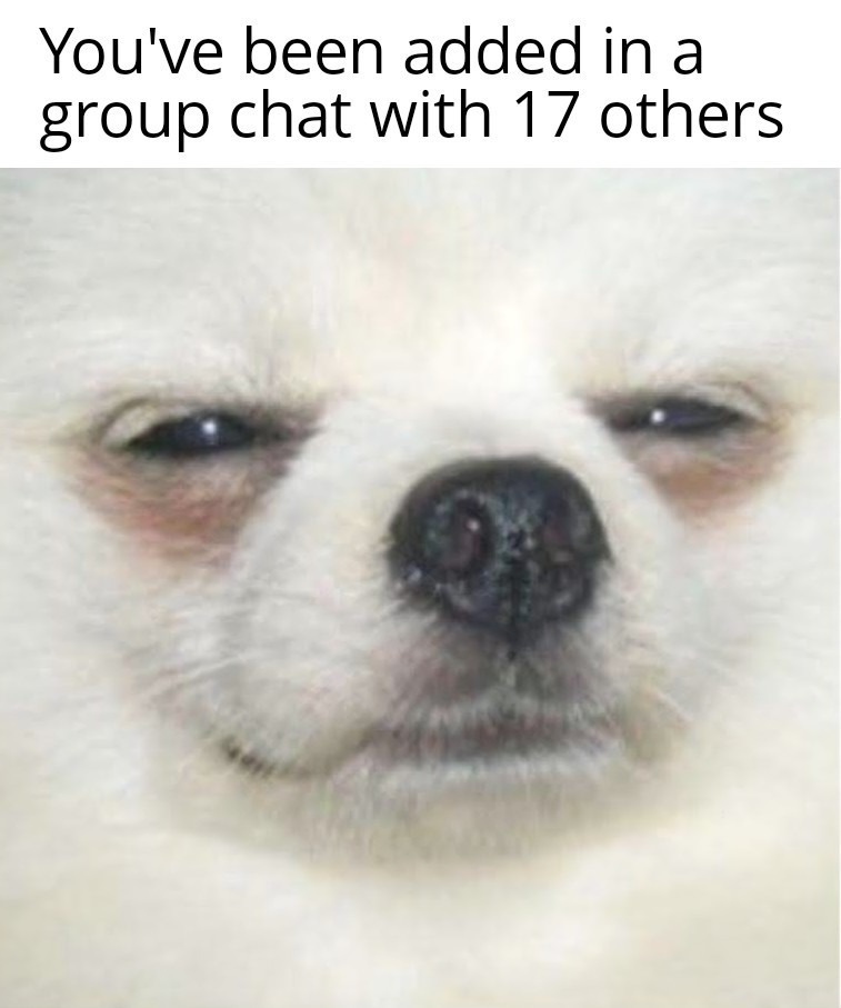 You've been added in a group chat with 17 others