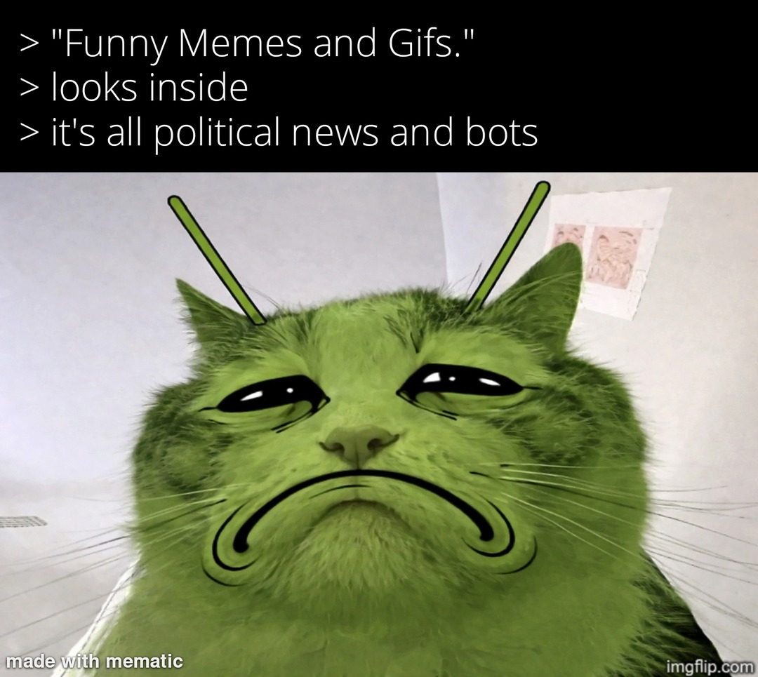 Funny Memes and Gifs. looks inside it's all political news and bots