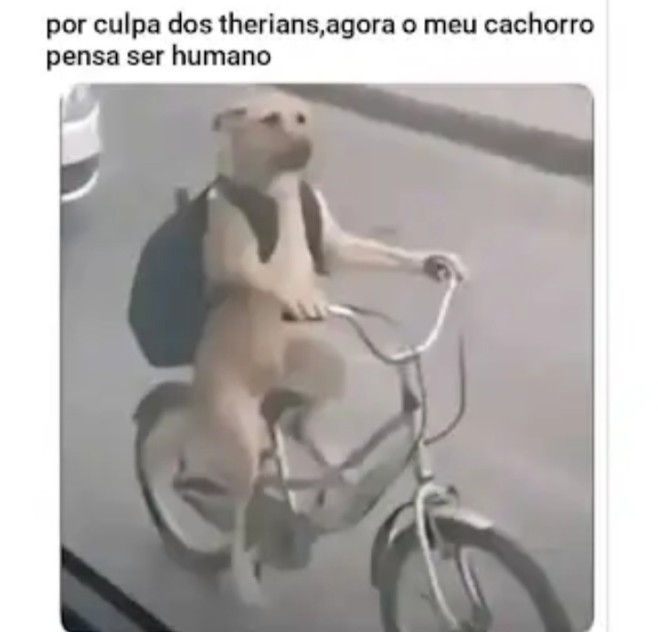 por culpa dos therians, agora o meu cachorro pensa ser humano