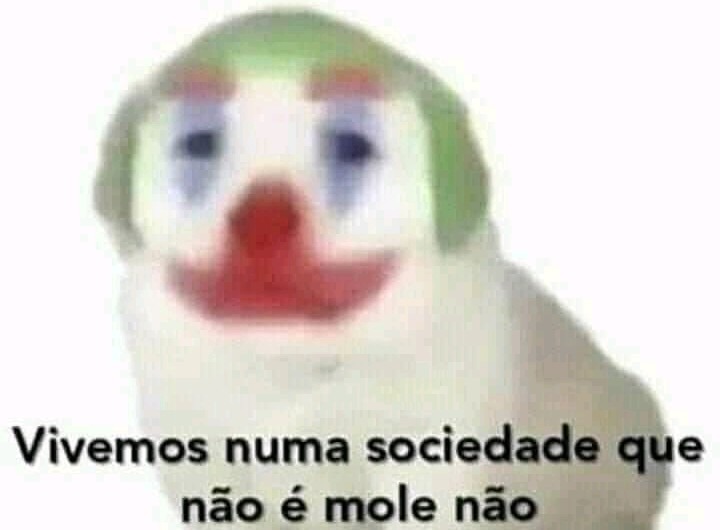 Vivemos numa sociedade que não é mole não