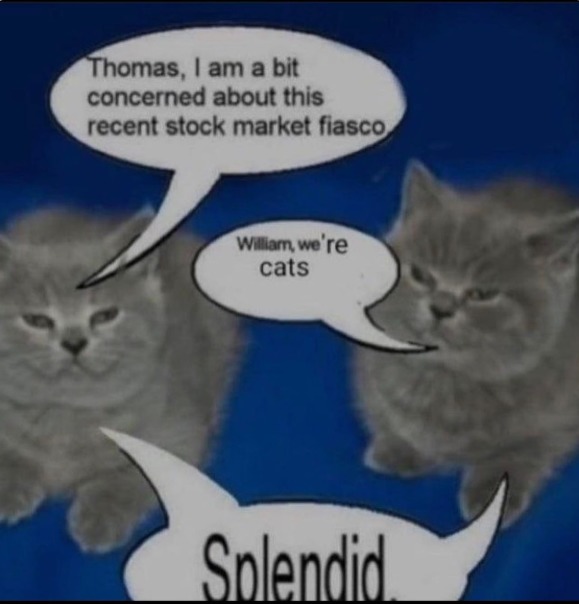 Thomas, I am a bit concerned about this recent stock market fiasco. William, we're cats. Splendid.