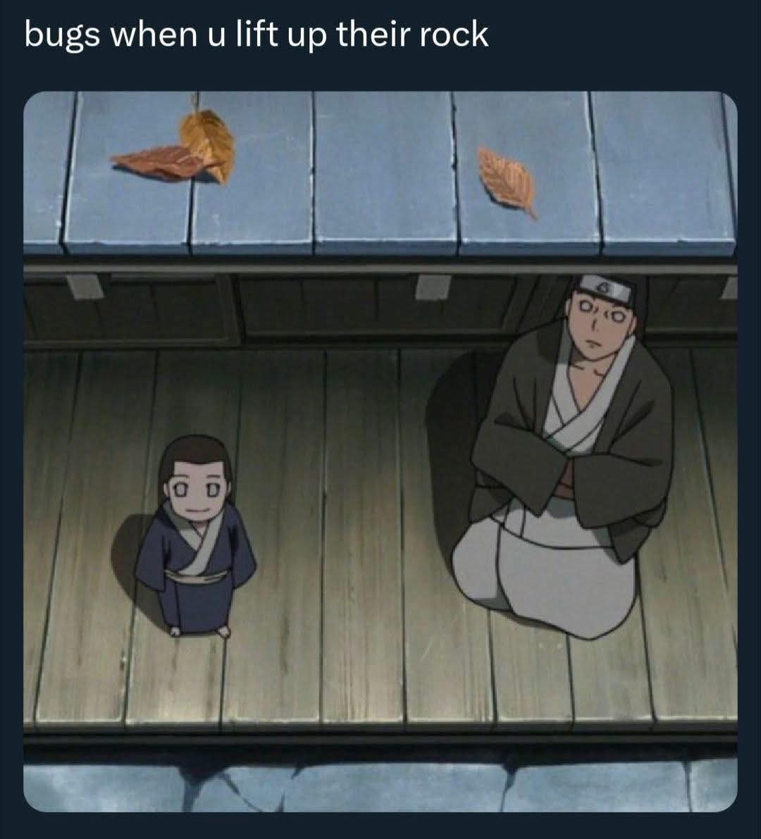 bugs when u lift up their rock