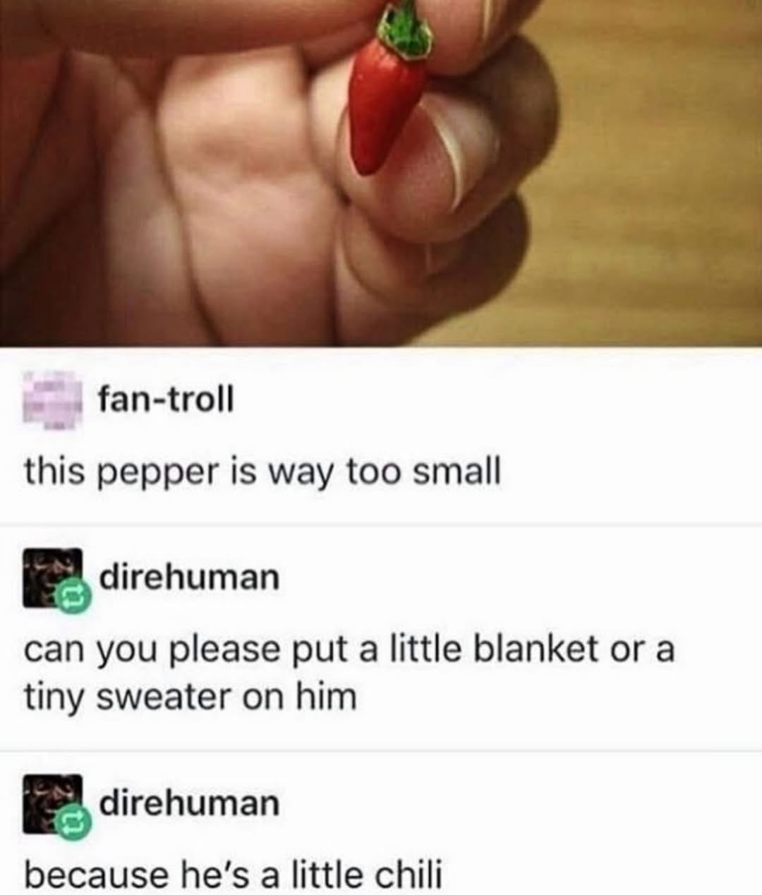 this pepper is way too small can you please put a little blanket or a tiny sweater on him because he's a little chili