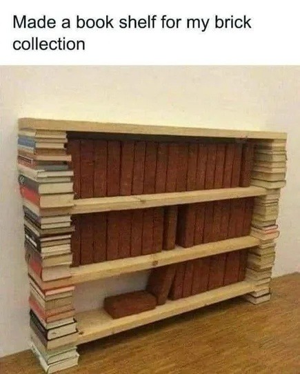 Made a book shelf for my brick collection