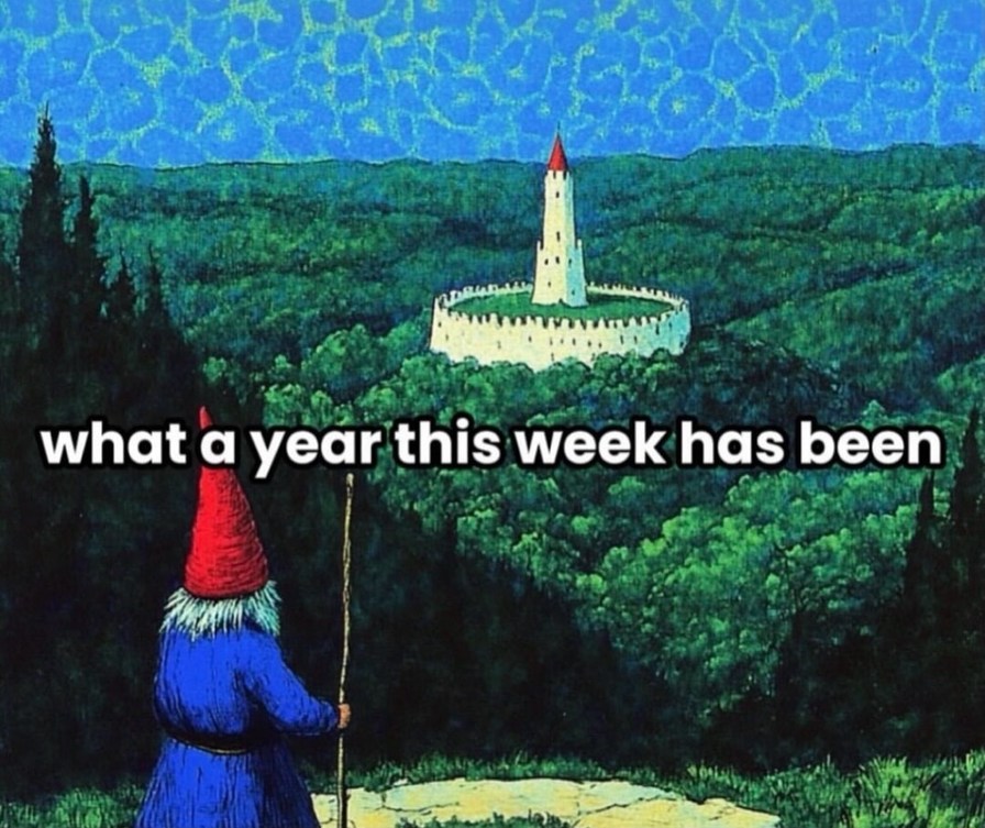 what a year this week has been