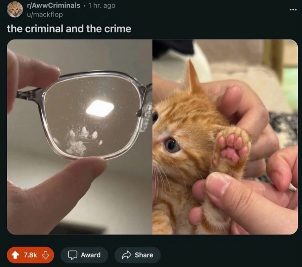 the criminal and the crime