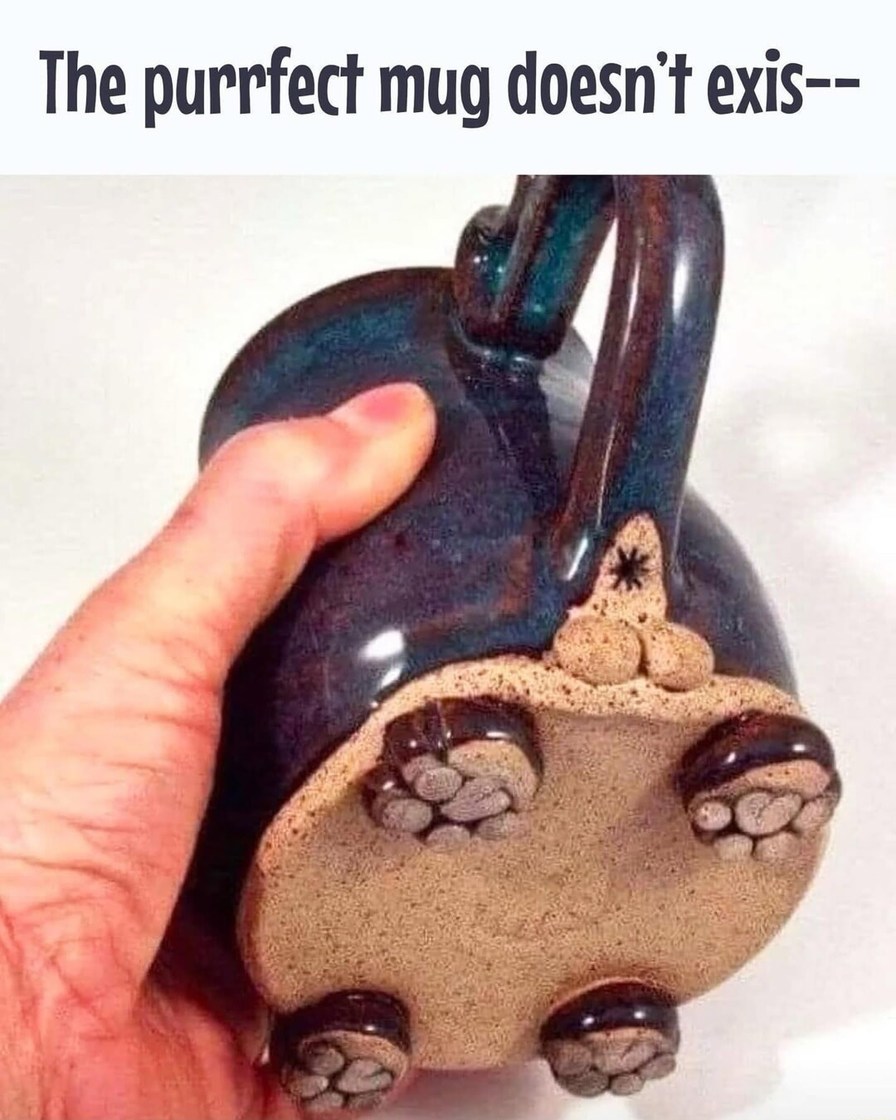 The purrfect mug doesn't exis---