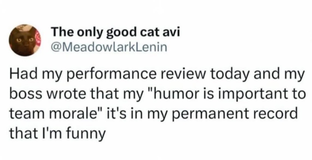 The only good cat avi @MeadowlarkLenin Had my performance review today and my boss wrote that my 
