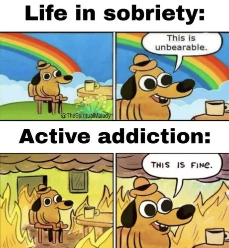Life in sobriety: This is unbearable. Active addiction: THIS IS FINE.