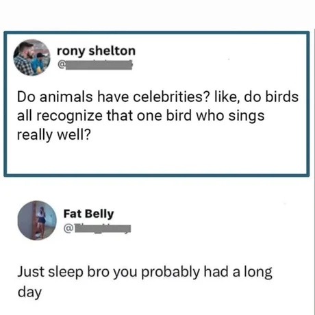 Do animals have celebrities? like, do birds all recognize that one bird who sings really well? Just sleep bro you probably had a long day