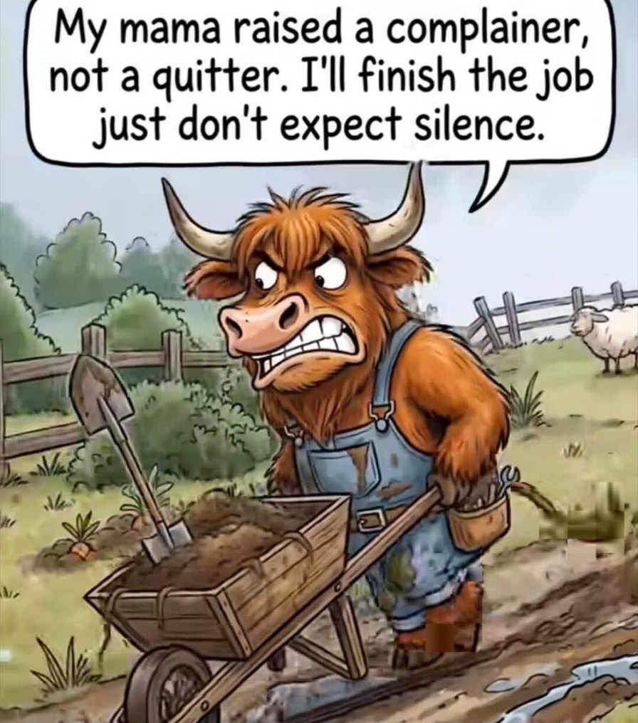 My mama raised a complainer, not a quitter. I'll finish the job just don't expect silence.
