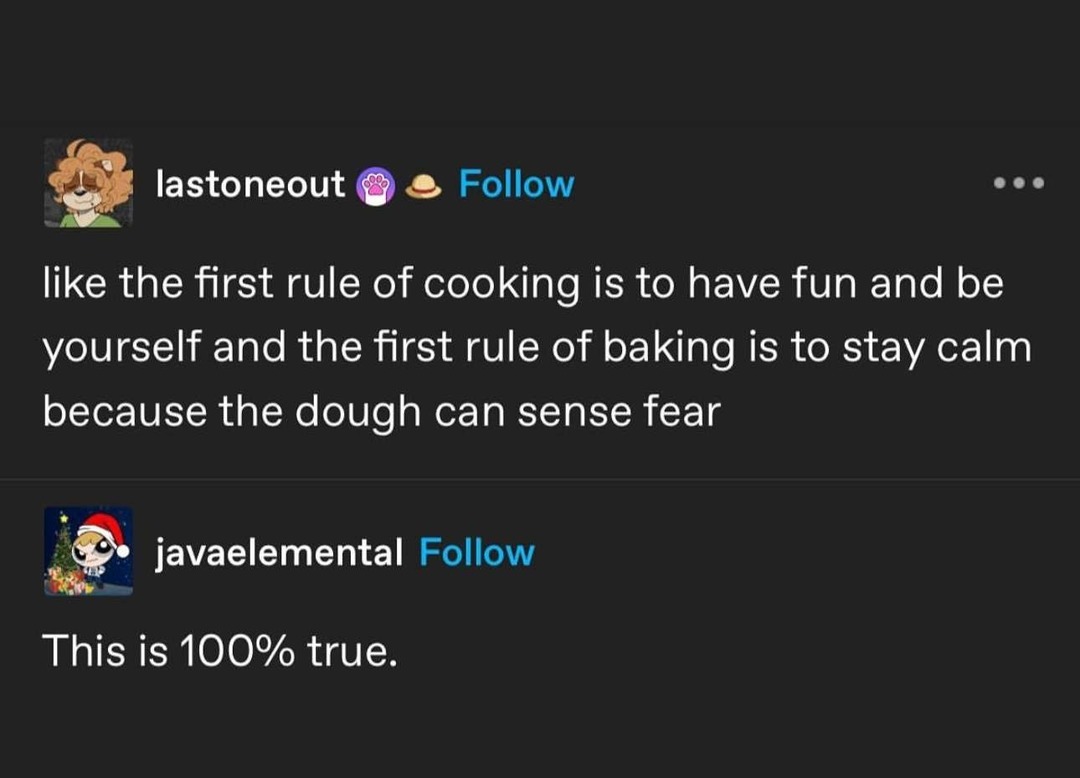 Like the first rule of cooking is to have fun and be yourself and the first rule of baking is to stay calm because the dough can sense fear. This is 100% true.