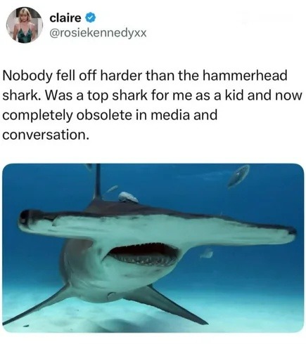 Nobody fell off harder than the hammerhead shark. Was a top shark for me as a kid and now completely obsolete in media and conversation.