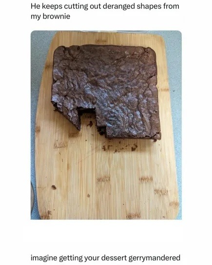 He keeps cutting out deranged shapes from my brownie imagine getting your dessert gerrymandered